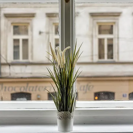 Large Historic By Charles Bridge & Parking Apartment